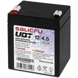 SALICRU 013BS000006